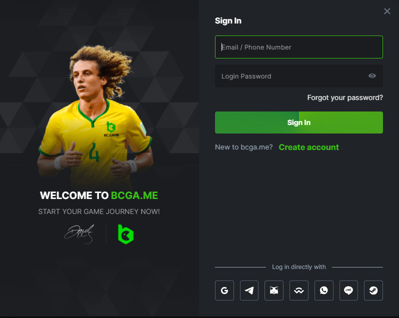 Log in to BC.Game Account