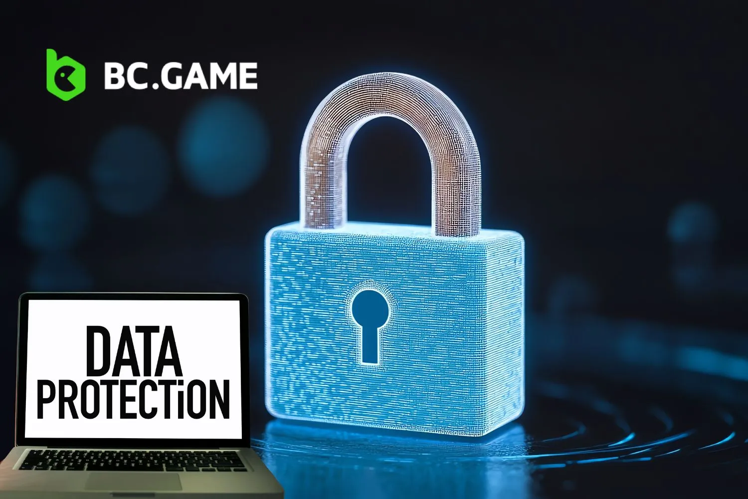 Privacy and Data Protection